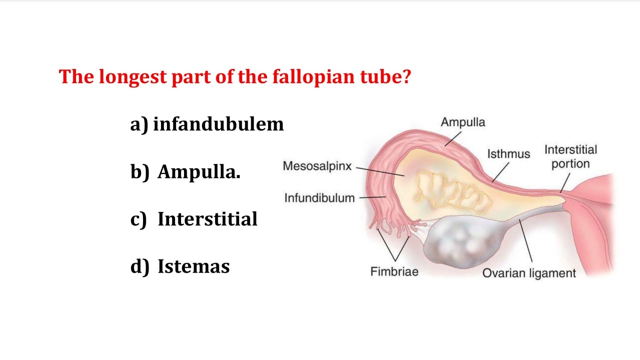 tspsc staff nurse job exam preparation multiple choice questions MHSRB tspsc