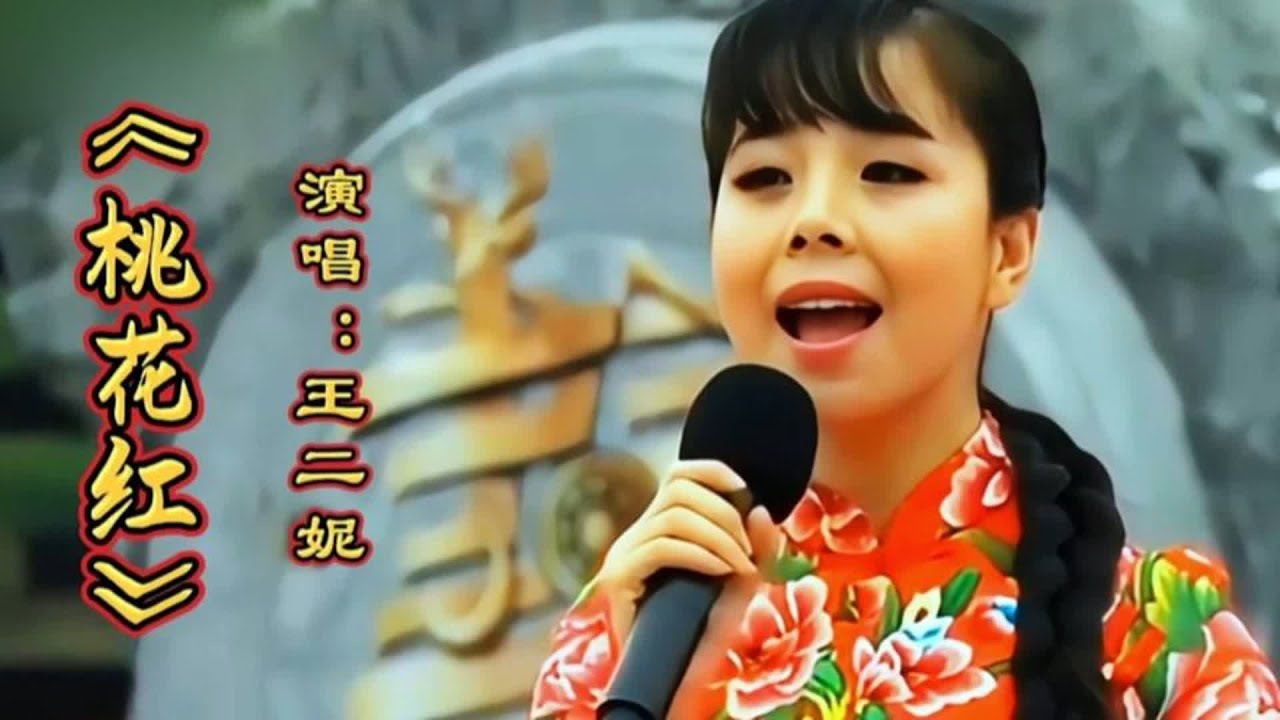 王二妮演唱《桃花红》清脆嘹亮的歌声带来不一样的风格，特别好听