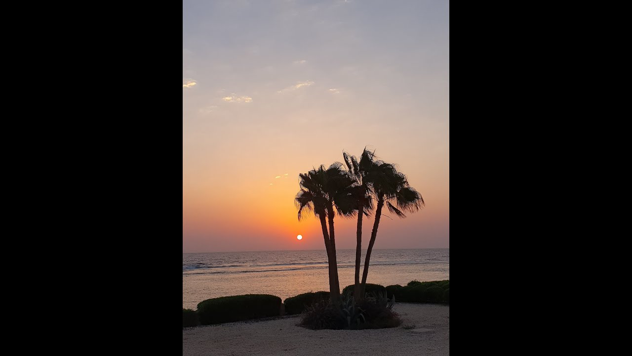Mövenpick Resort El Quseir - Ägypten 2023