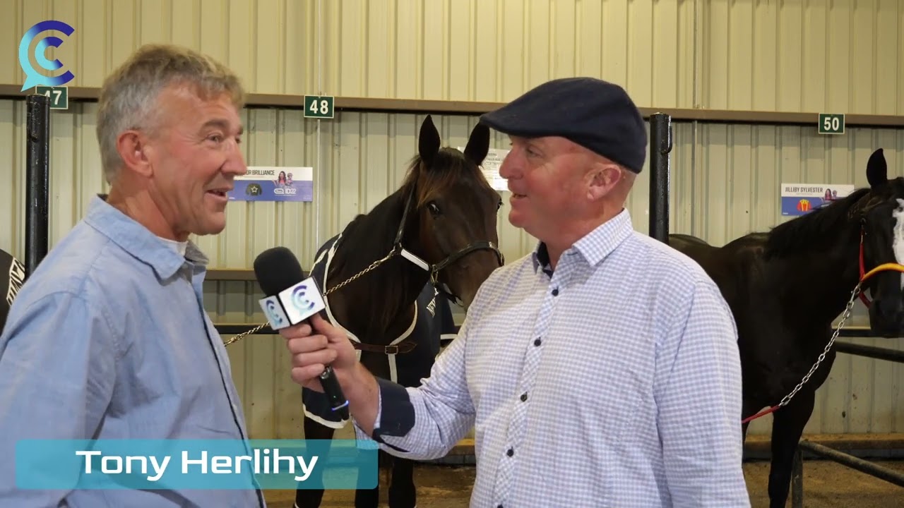CC with Tony Herlihy