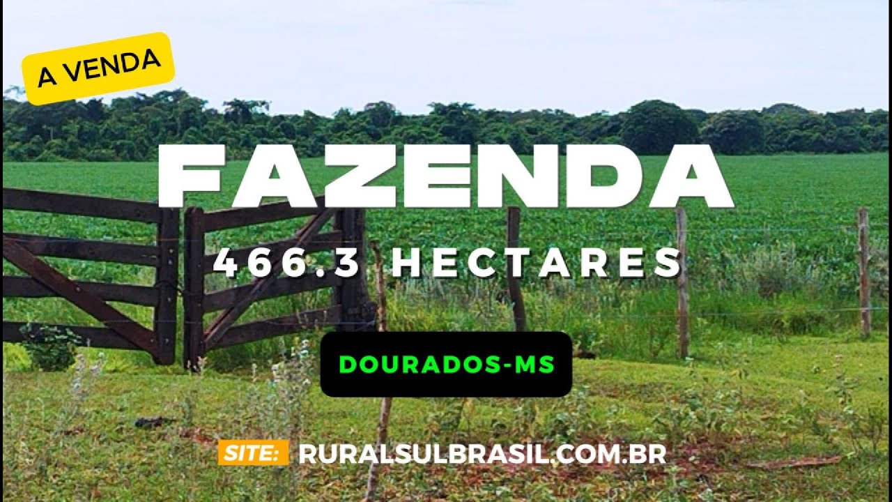 FAZENDA 466.3 HA _ DOURADOS-MS _ AGRONEGOCIO