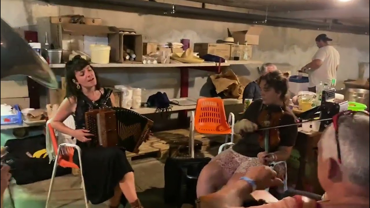 Fête de l'accordéon (Luzy 2024)