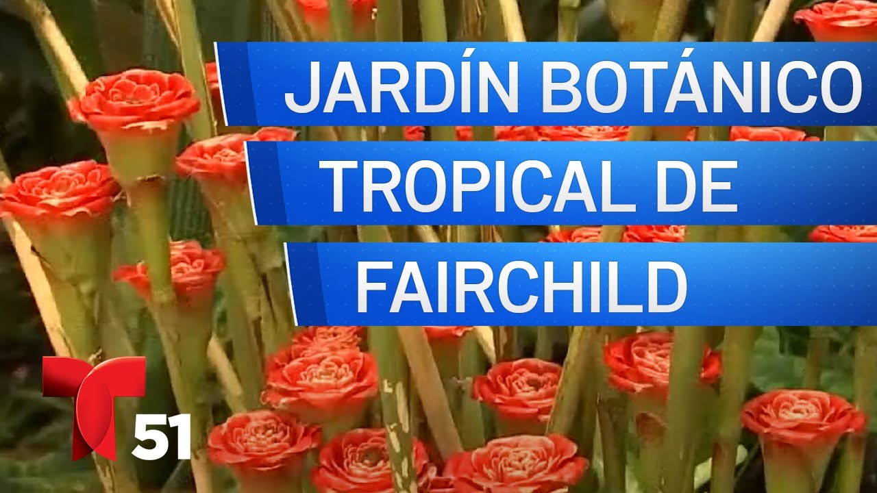 Miami, Ayer y Hoy: Jardín Botánico Tropical de Fairchild