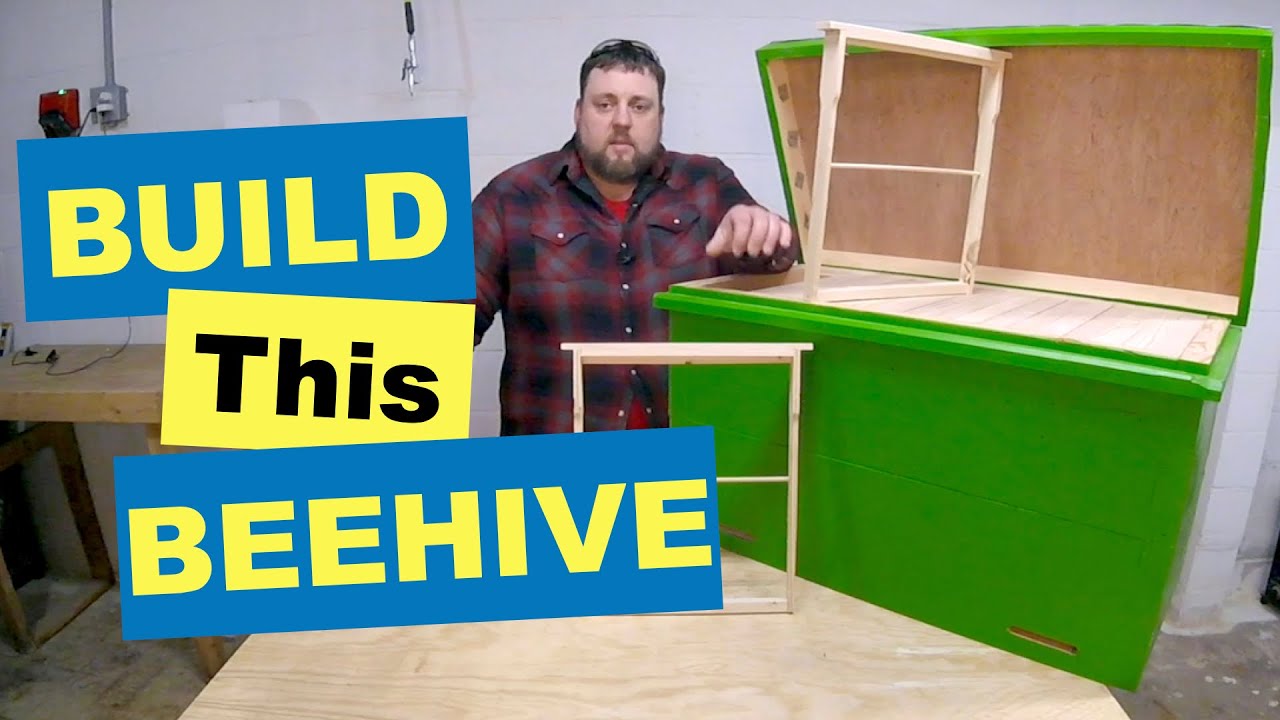 🐝 How to build a Layen's Hive Part 1 of 2