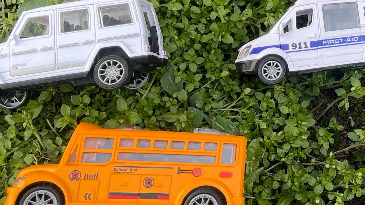 How many toy cars are on the green grass?” 🚗🌿