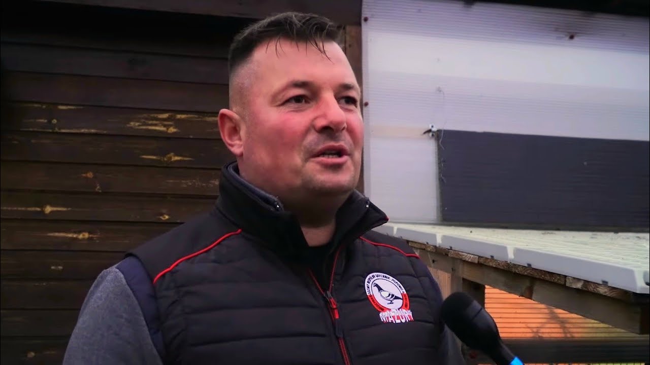 Dominik Palarski - PZHGP 0417 Milicz / Sezon 2021 i ciekawostki z hodowli 📽🎉🤩🇵🇱🙋‍♂️ ( NOWOŚĆ )