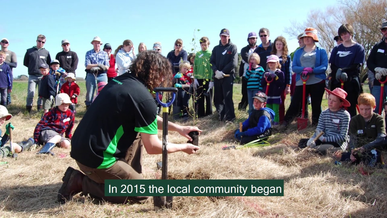 Yarrs Flat wetland forest restoration project