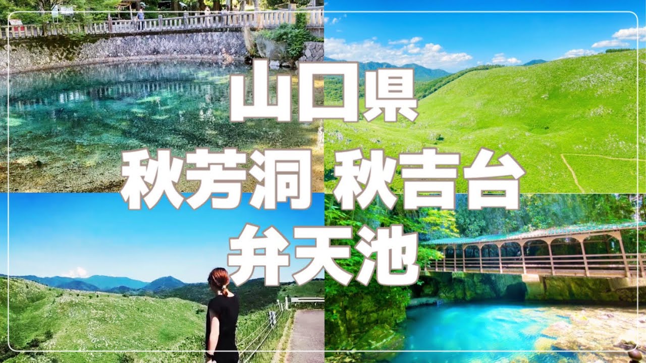 『山口観光』 絶景スポット / 秋芳洞 / 秋吉台 / カルスト台地 /弁天池 / 夏 /転勤族 / 夫婦2人暮らし