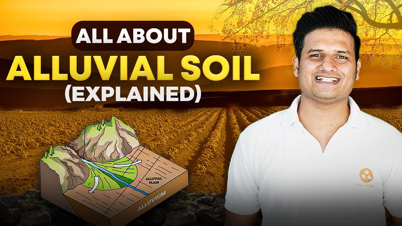 Alluvial Soil - Resources and Development | Class 10 Geography 2023-2024