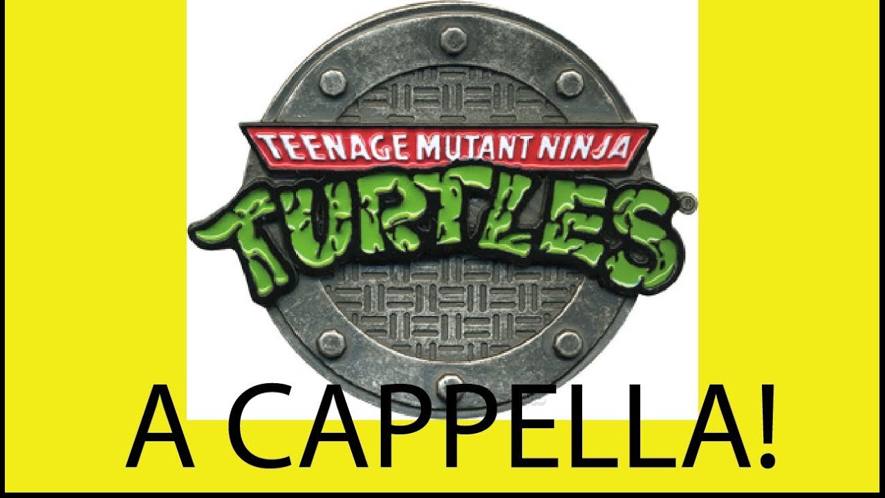 Teenage Mutant Ninja Turtles Theme Song - Danny Fong