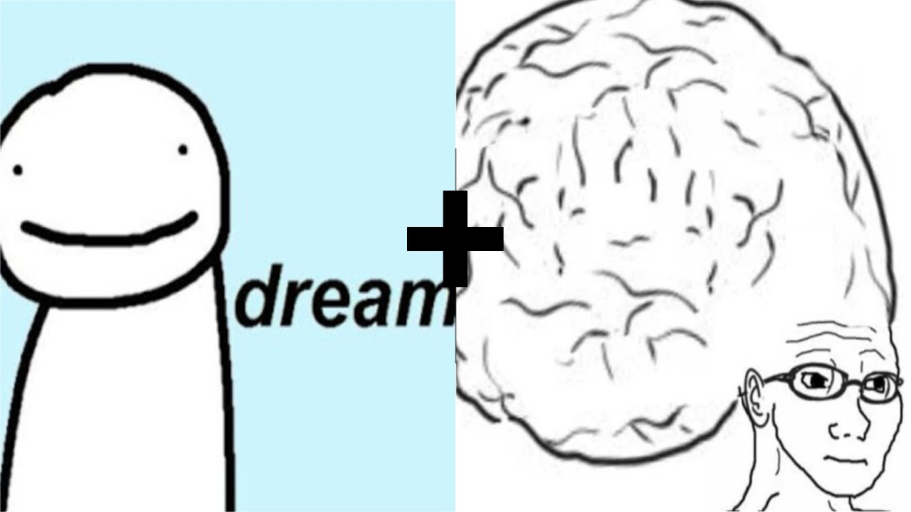 Dream Insane Quick Thinking 200 IQ Plays!