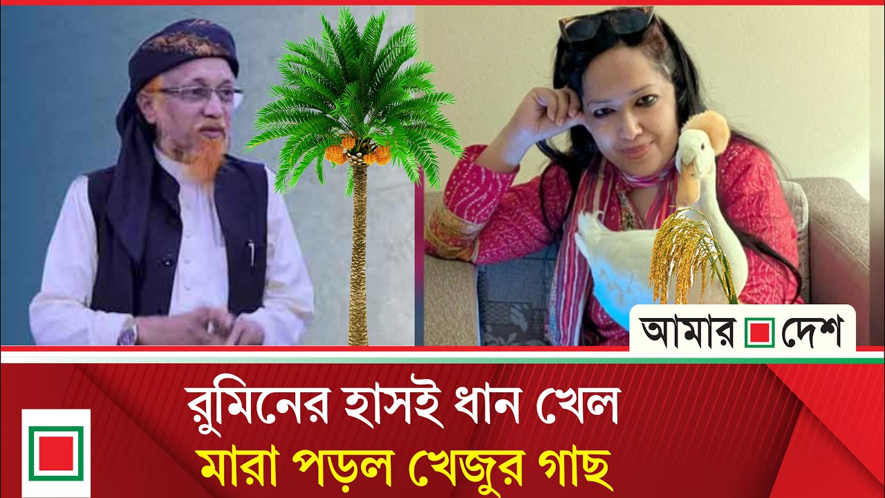 রুমিন ফারহানার আসনের ফলাফল | Amar Desh
