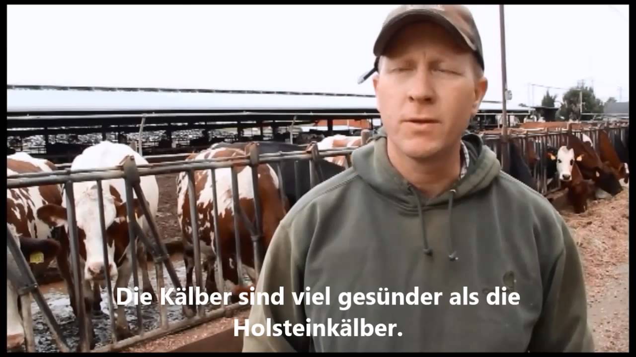 ProCROSS auf dem Betrieb von Jack und Kurt Hoekstra in Oakdale (Kalifornien)