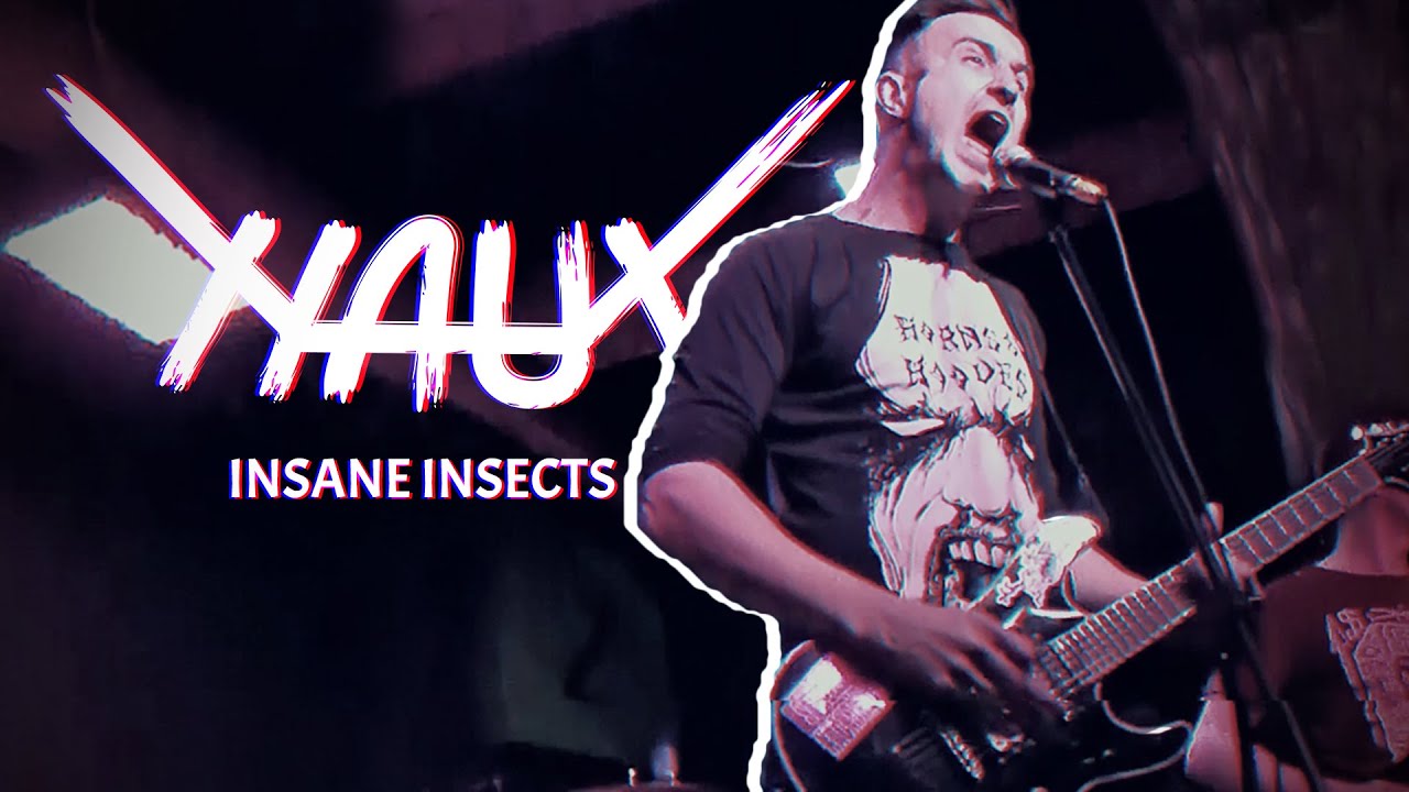 Naut -  Insane Insects (live in Zoccolo club)