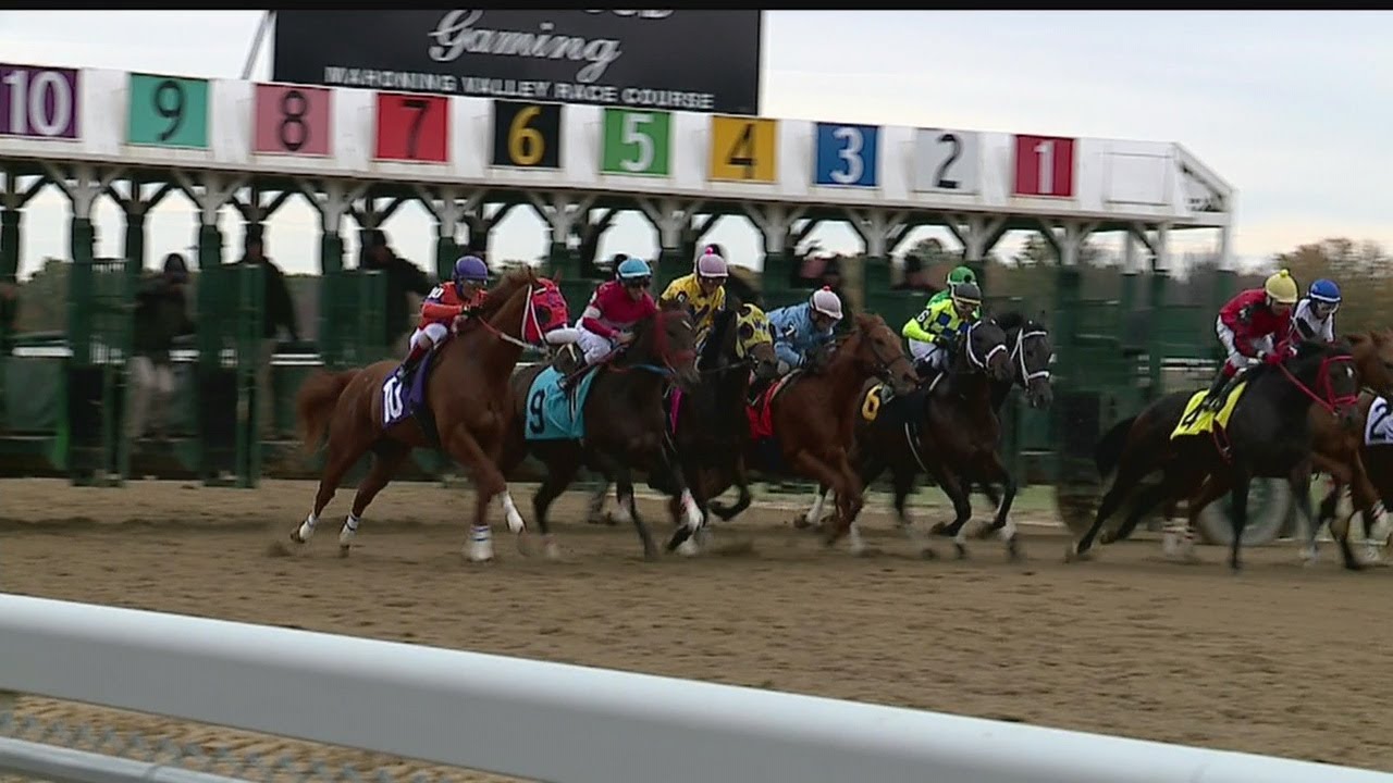 Hollywood Racino welcomes back racing