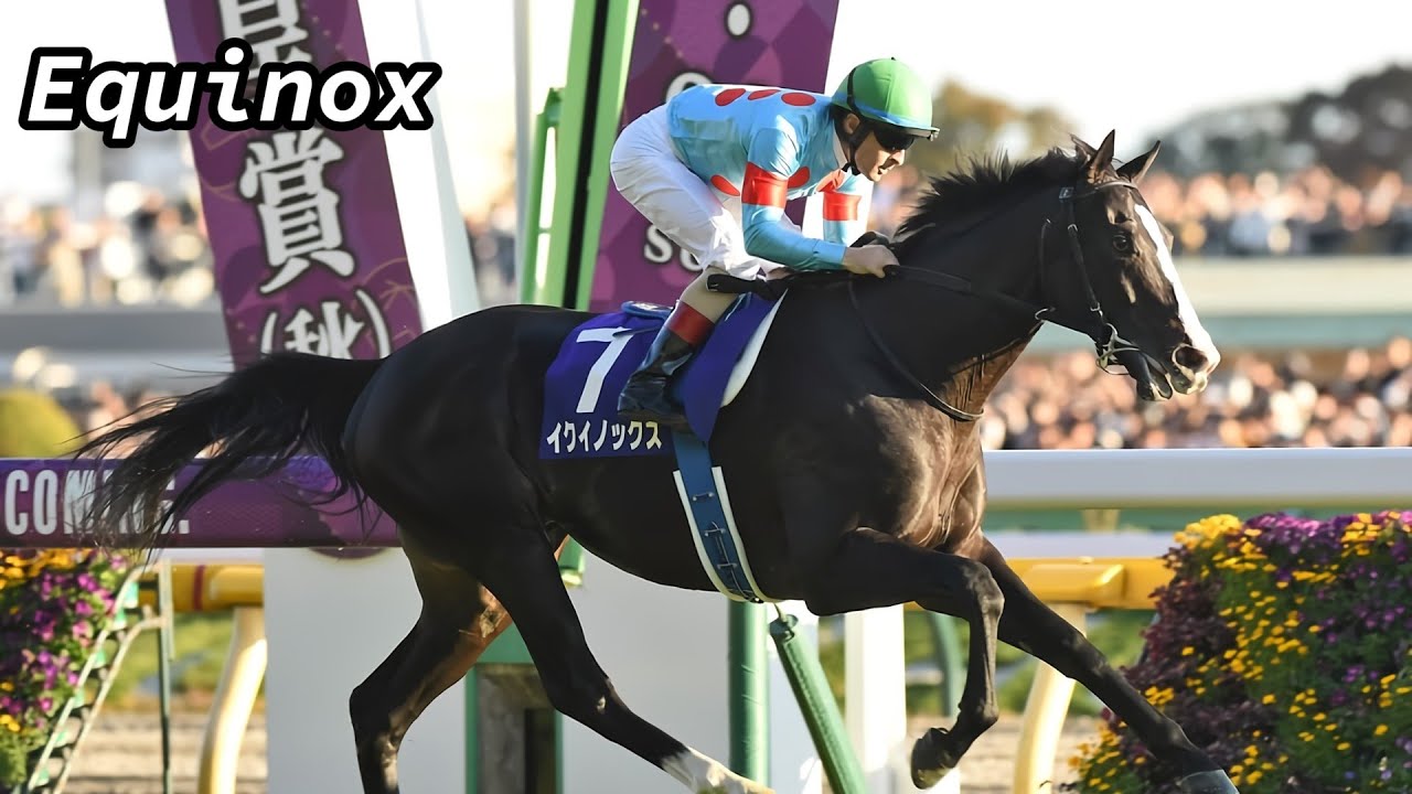 Equinox (イクイノックス) - Story of Japan Greatest Horse