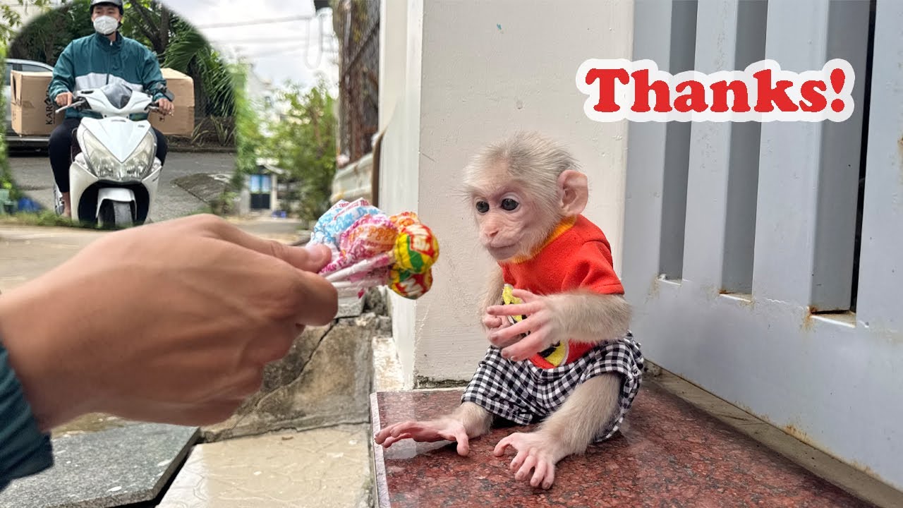 Lucky And The Surprise Gift From The Kind Delivery Man