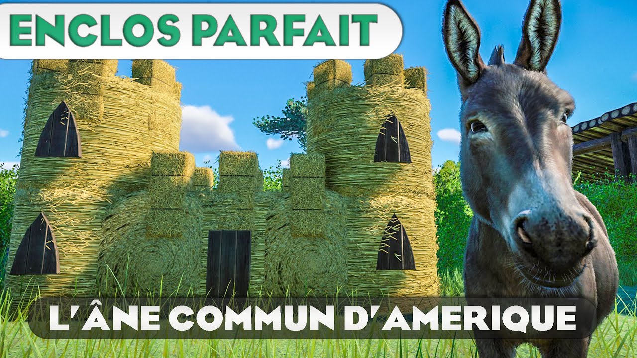 Un Château de Paille pour L'ÂNE COMMUN | LES ENCLOS PARFAITS : ÉPISODE 151 | PLANET ZOO