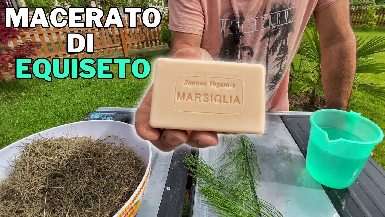 Preparo il MACERATO DI EQUISETO con il SAPONE DI MARSIGLIA!