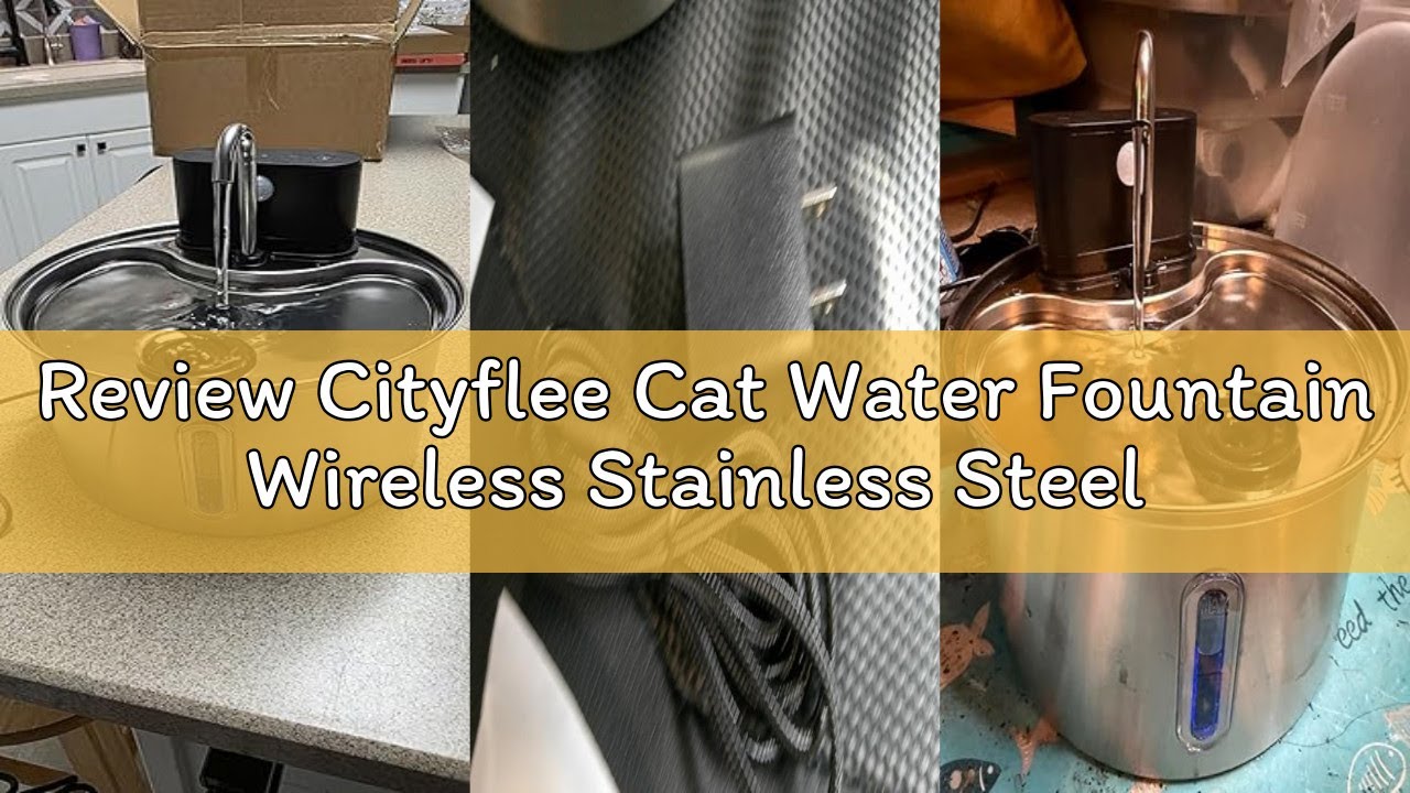 Review Cityflee Cat Water Fountain Wireless Stainless Steel with Sensor 3.5L/118oz Battery Operated