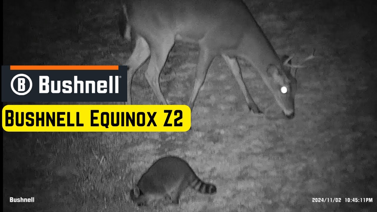 Bushnell Equinox Z2 4.5x40mm Night Vision Monocular Video Sample