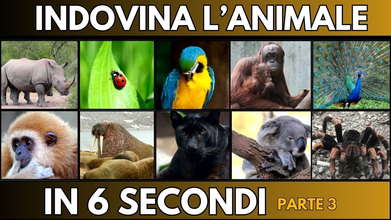 Indovina L'ANIMALE In 6 Secondi  ( PARTE 3 ) | QUIZ ANIMALI