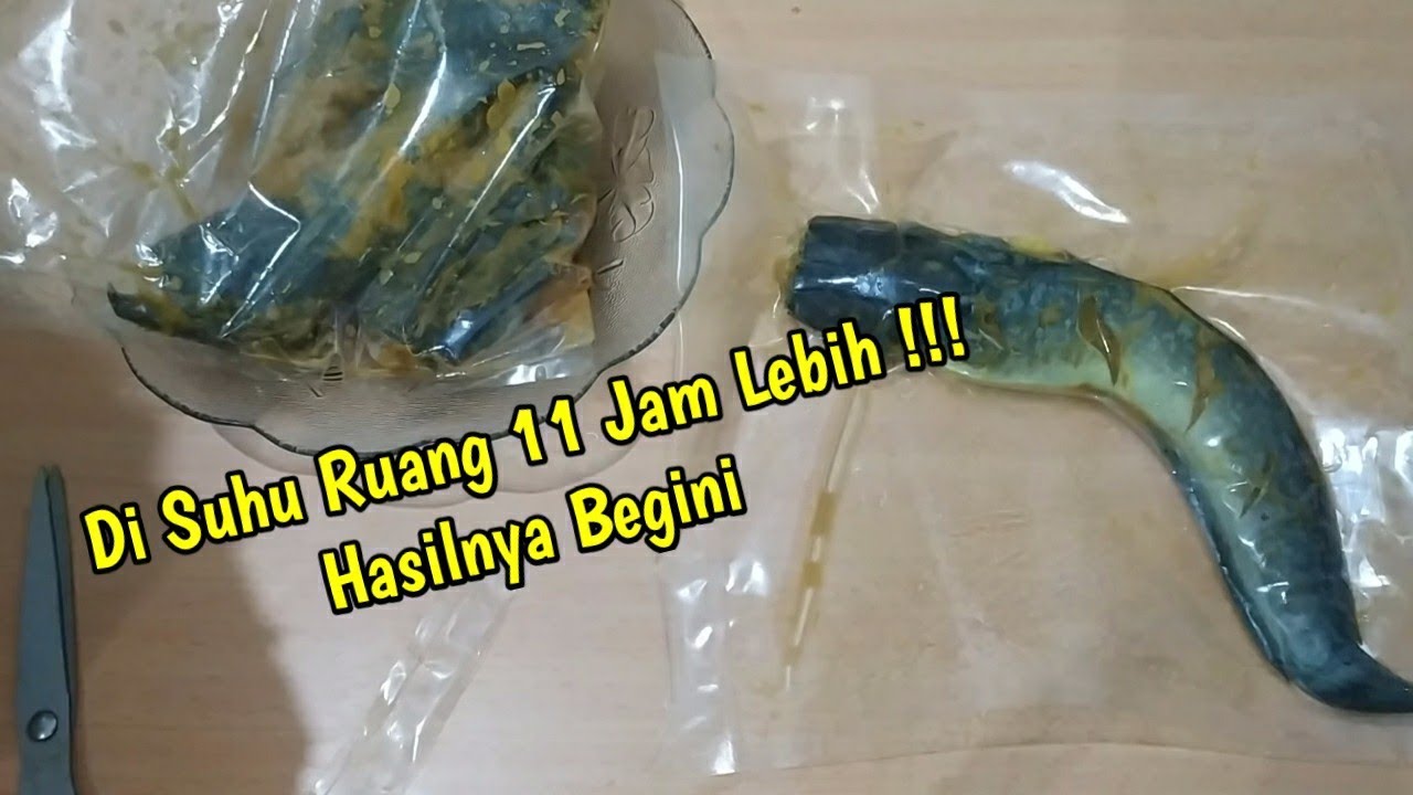 Daya Tahan Ikan Setelah Di Vacuum di SUHU RUANG
