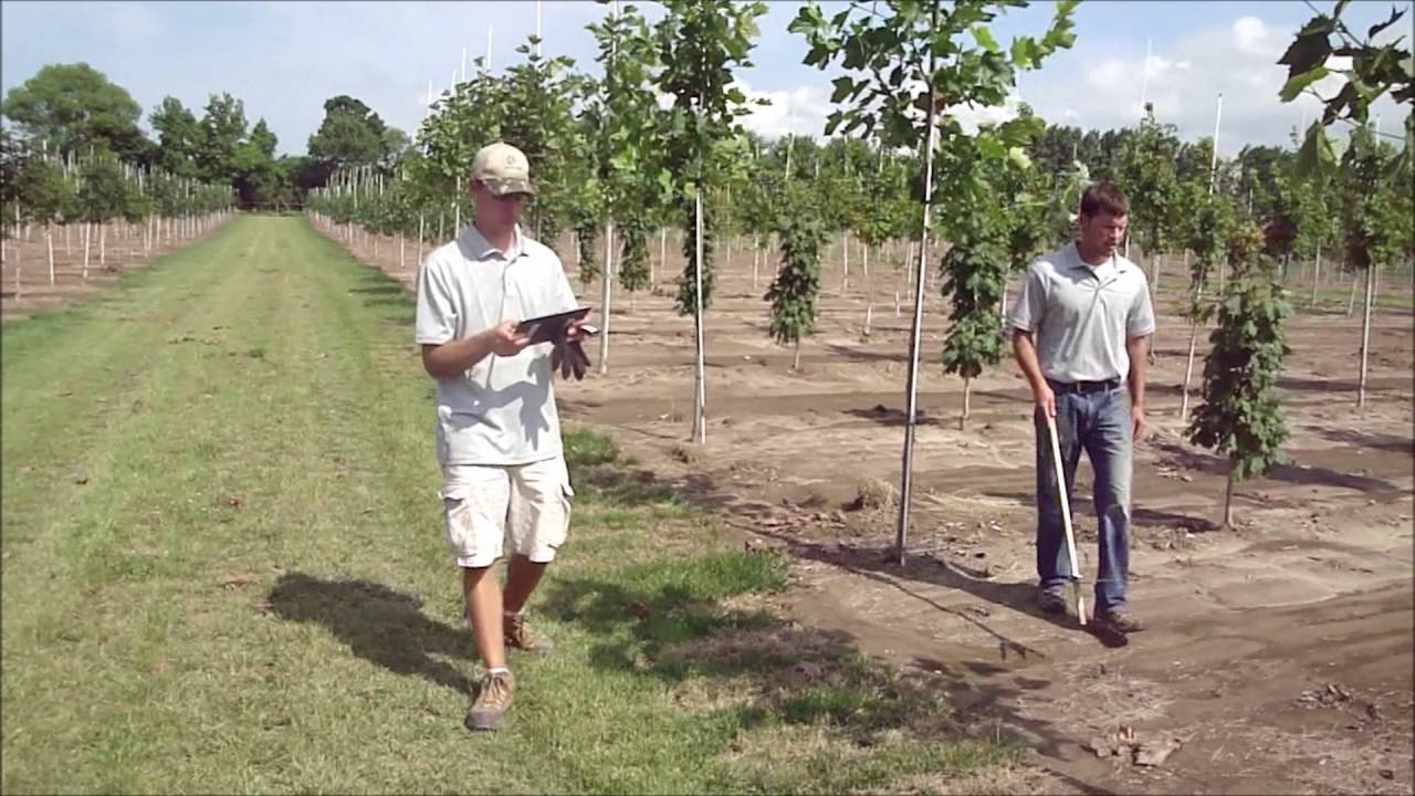 Caliper Field Demonstration