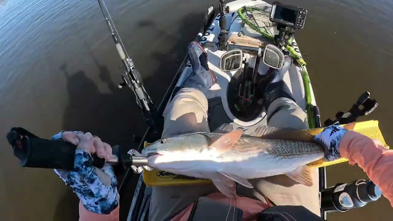 Hot red drum bite Dec2025