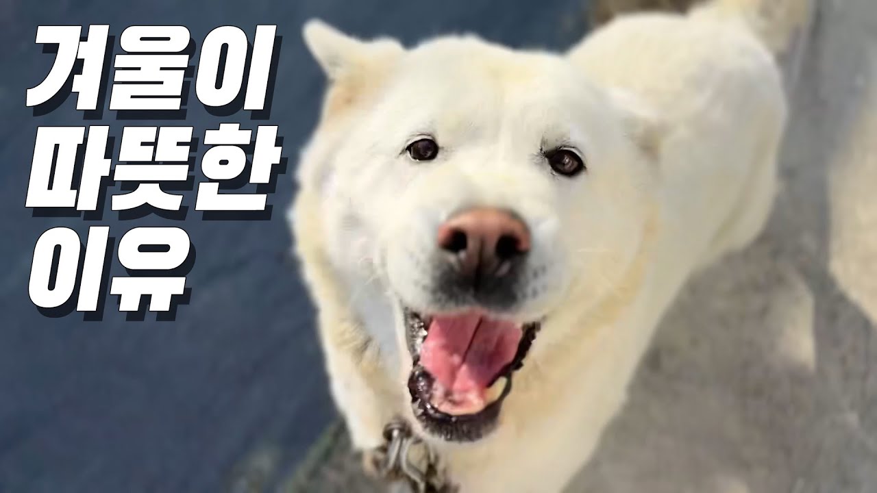 추워도 괜찮아, 함께니까