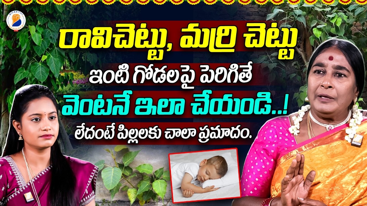 రావి చెట్టు, మర్రి చెట్టు ఇంటి గోడలపై పెరిగితే..! |Importance of Ravi Chettu | Bhakthi Bhaskara Live