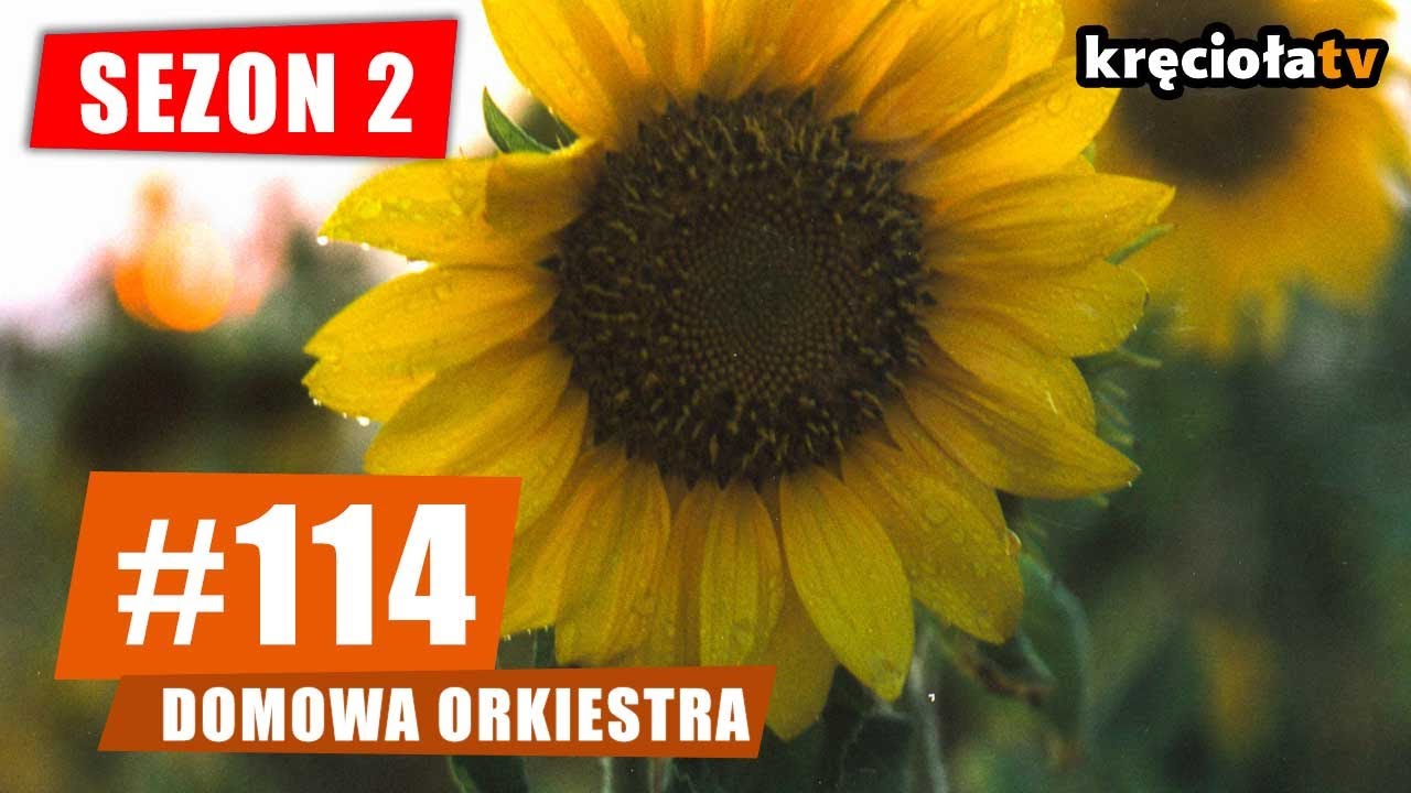 Closterkeller, Stage of Unity, Hunter, Urszula  #114 Domowa Orkiestra S02