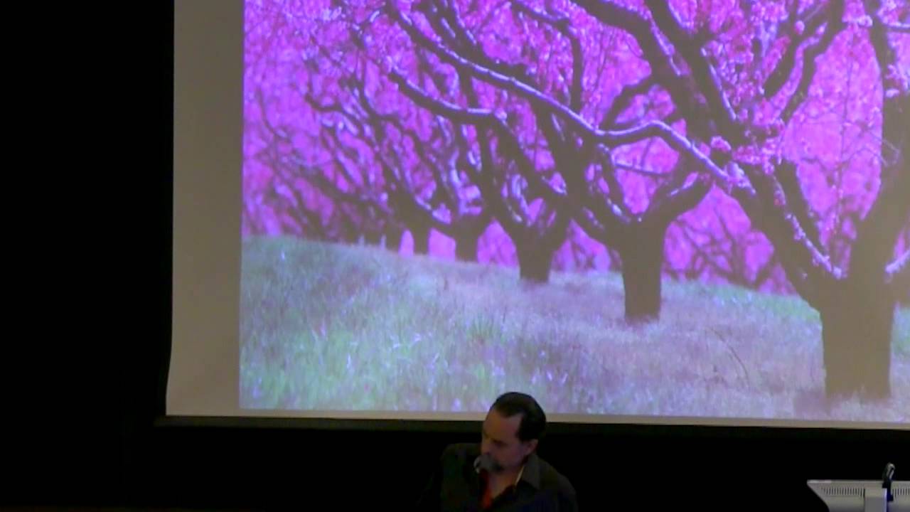 Essential Oils As Expressions Of Botanical Intelligence with David Crow, NAHA Conference Keynote