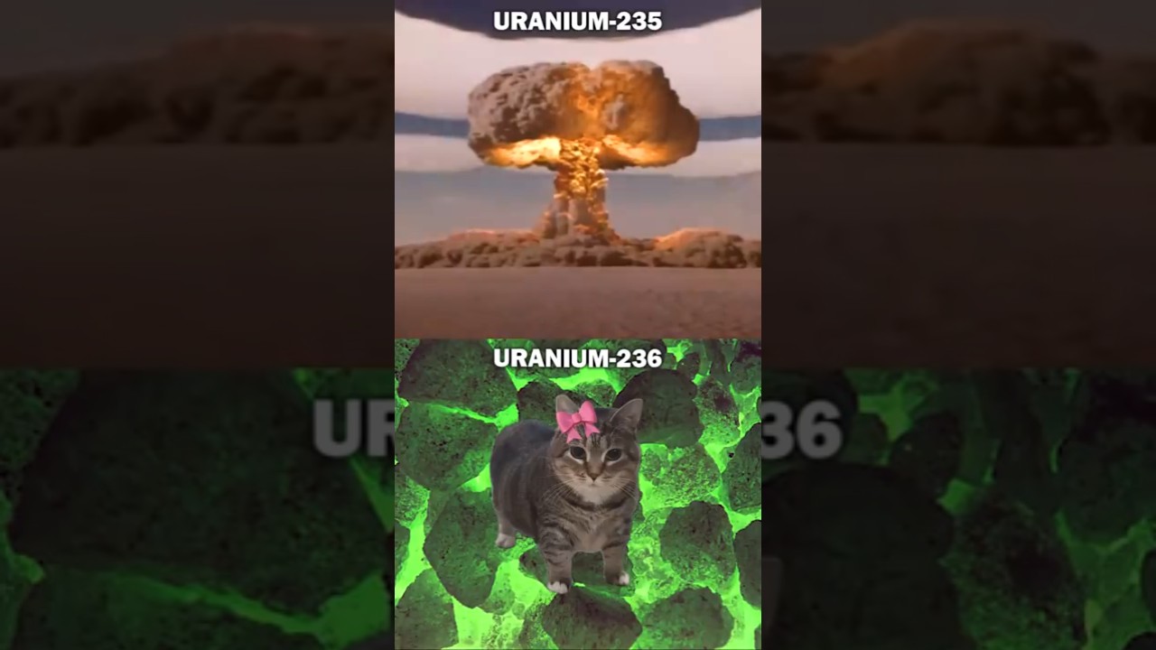 Duality of Uranium Isotopes ⚛️☠️