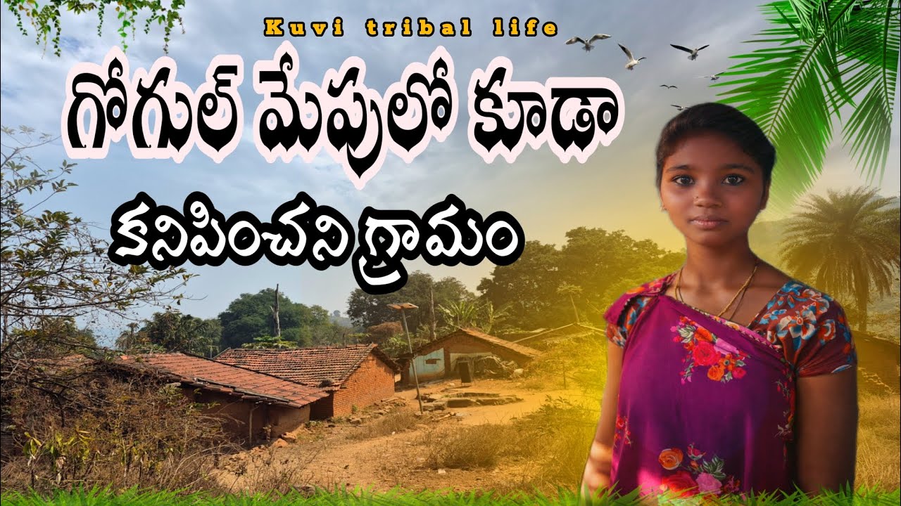 కొండల మధ్య జీవిన విధానం కొనసాగిస్తున్న మా ఆదివాసుల లైఫ్ స్టైల్@Kuvitriballife 