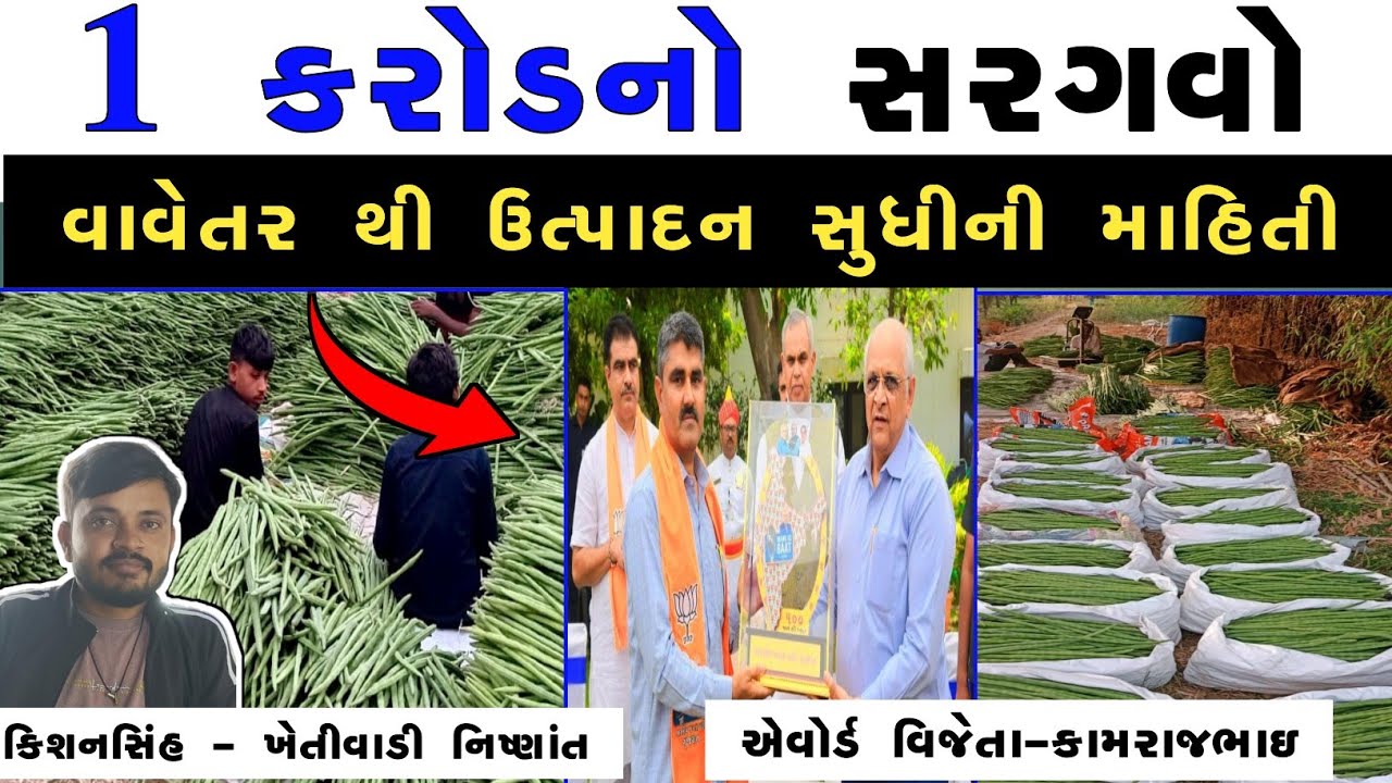 ઓર્ગેનિક સરગવાની ખેતી દ્વારા વર્ષે કરોડની આવક લેતા ખેડૂત ના અનુભવો