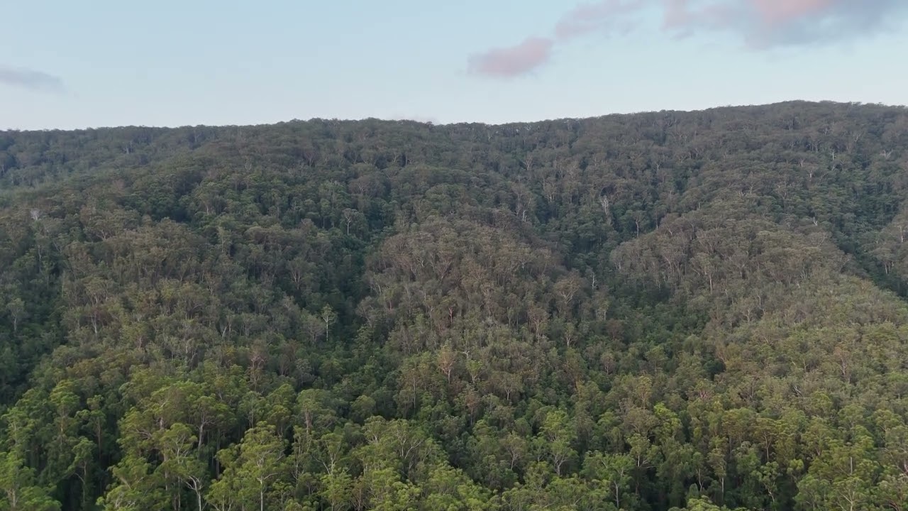 Hidden Green Hills of Bucca | Great Dividing Range Foothills | Coffs Harbour Drone