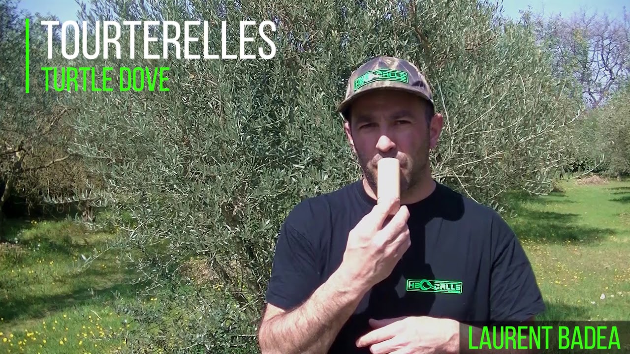 APPEAUX TOURTERELLES