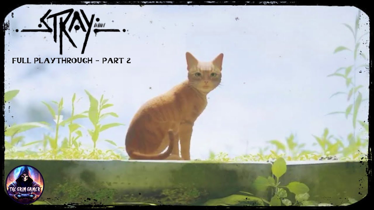 First Time Playing Stray on PS5, Part 2 - Live Stream Replay From 12-24-2025