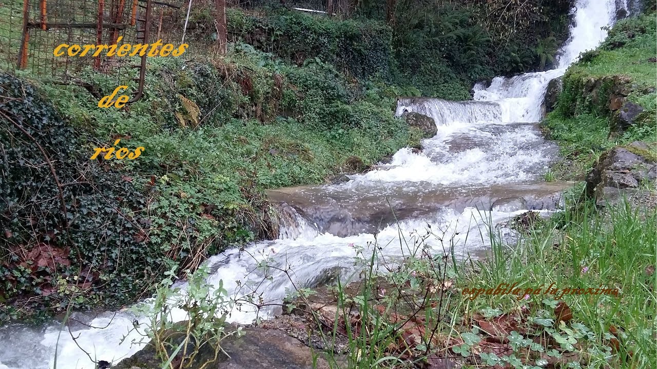 CORRIENTES DE RÍO ( Limpias, Ampuero, Marrón, Cantabria)