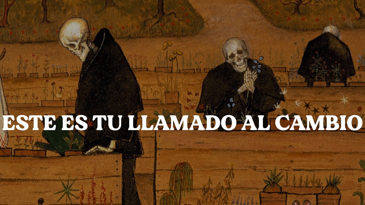 Aprende a ordenar tu vida en 21 minutos I Schopenhauer