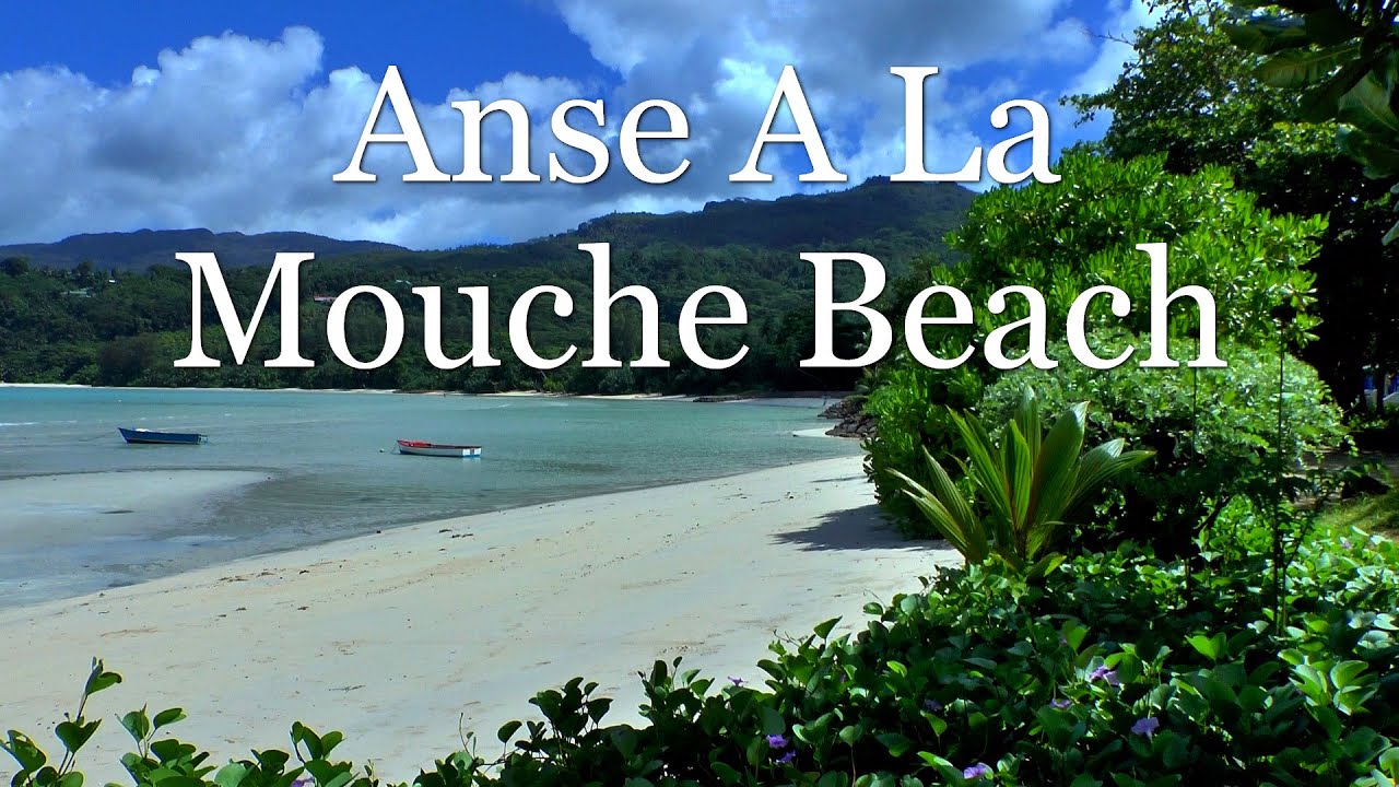 Anse A La Mouche Beach. Seychelles