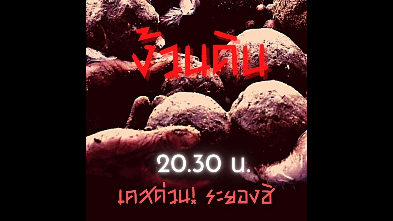 ทูตสื่อวิญญาณ EP103 ง้วนดิน - FULL [25 FEB 2022]