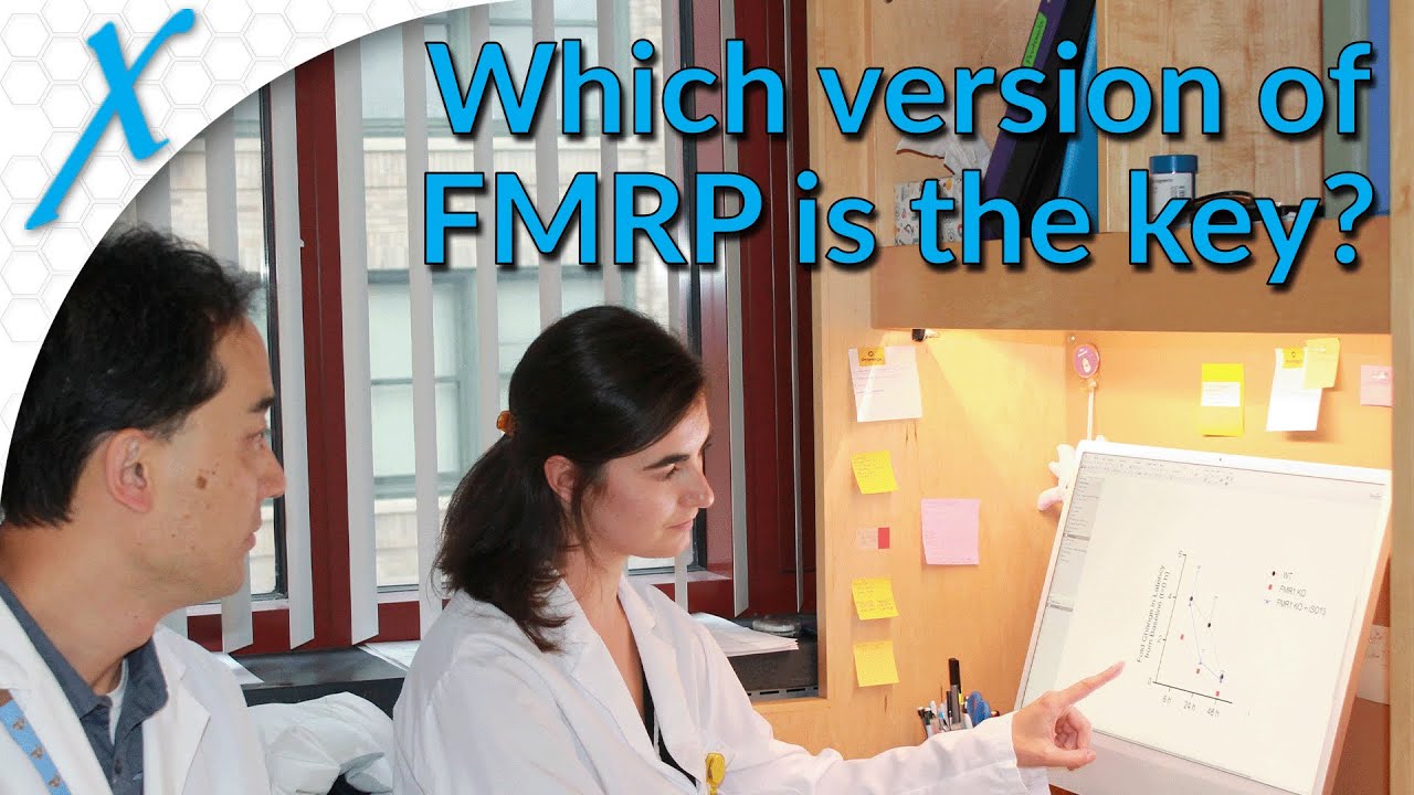 If we could replace FMRP to treat Fragile X syndrome, which version would we use?