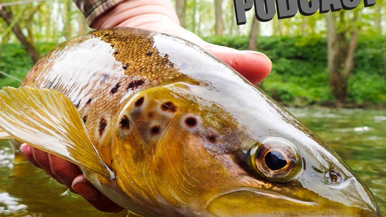 Fly Fishing Podcast - Wild Brown Trout With The Klink & Dink