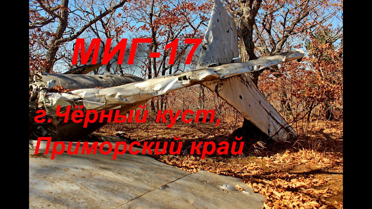Черный куст и поиски МИГ-17