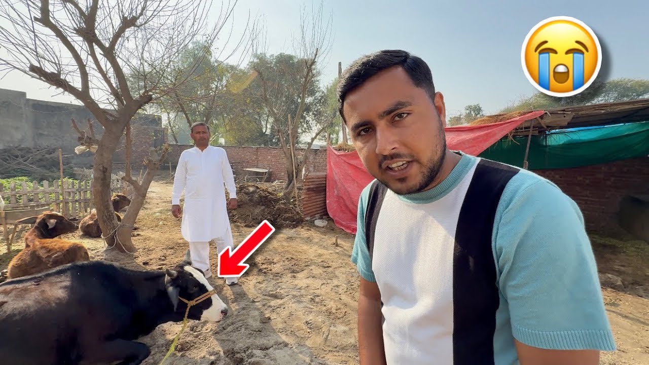 Farmhouse Khali Hogya 😢 Sary Janwar Sale Kar Diay 