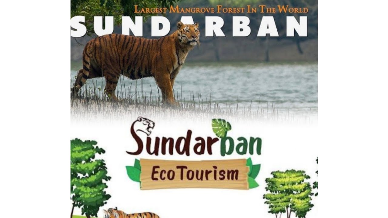 Sundarban part 1||Sundarban Tiger Reserve || Sajne khali .