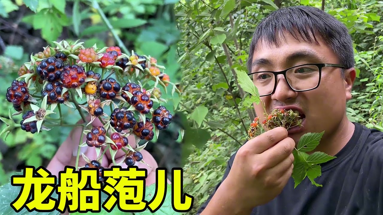端午时节，湘西大山又到了吃野果的季节，冬宝摘了一大把，吃起来真爽！【湘西冬宝】