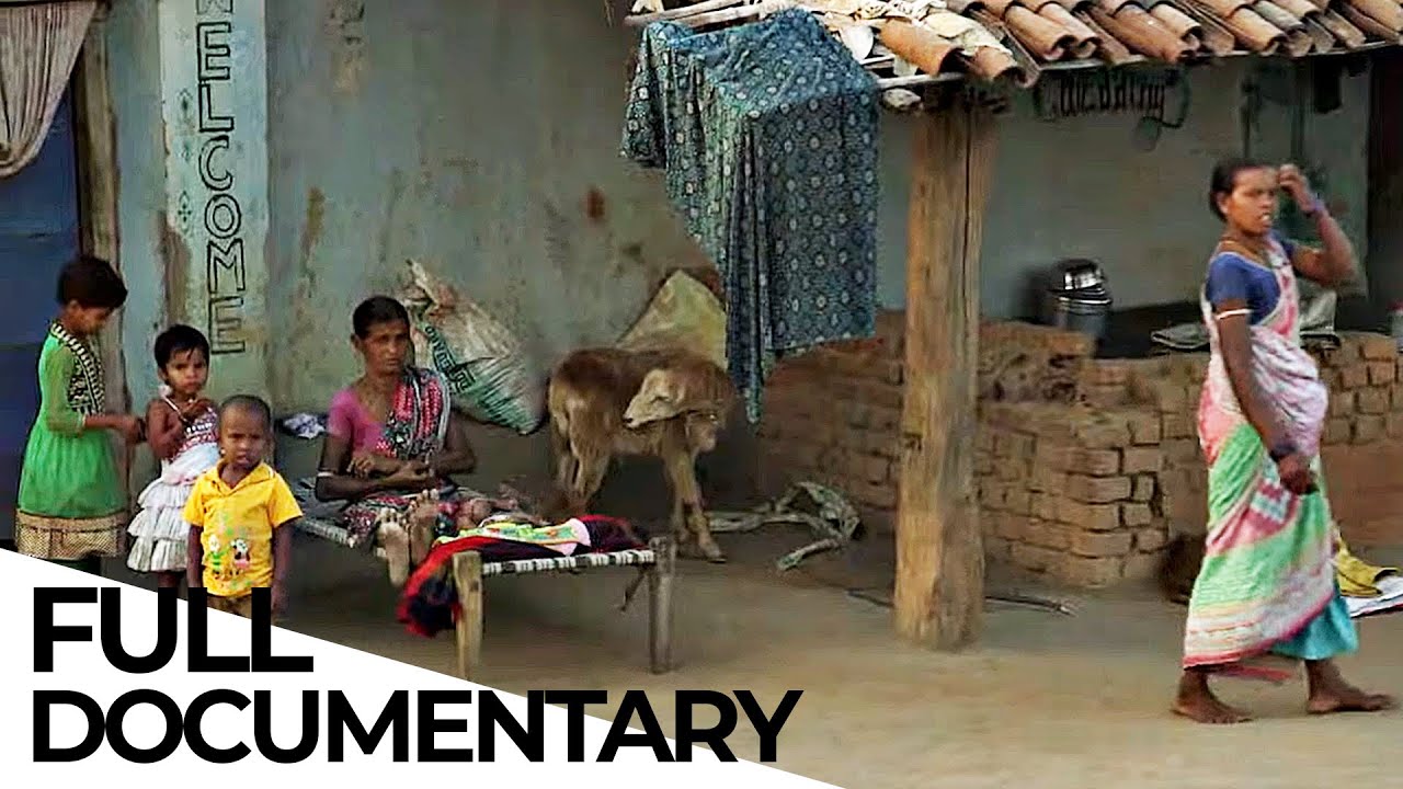 The Price of Fairness: Why Do We Accept Inequality And Social Injustice? | ENDEVR Documentary